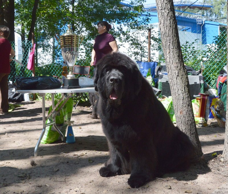 Фотография № 131750