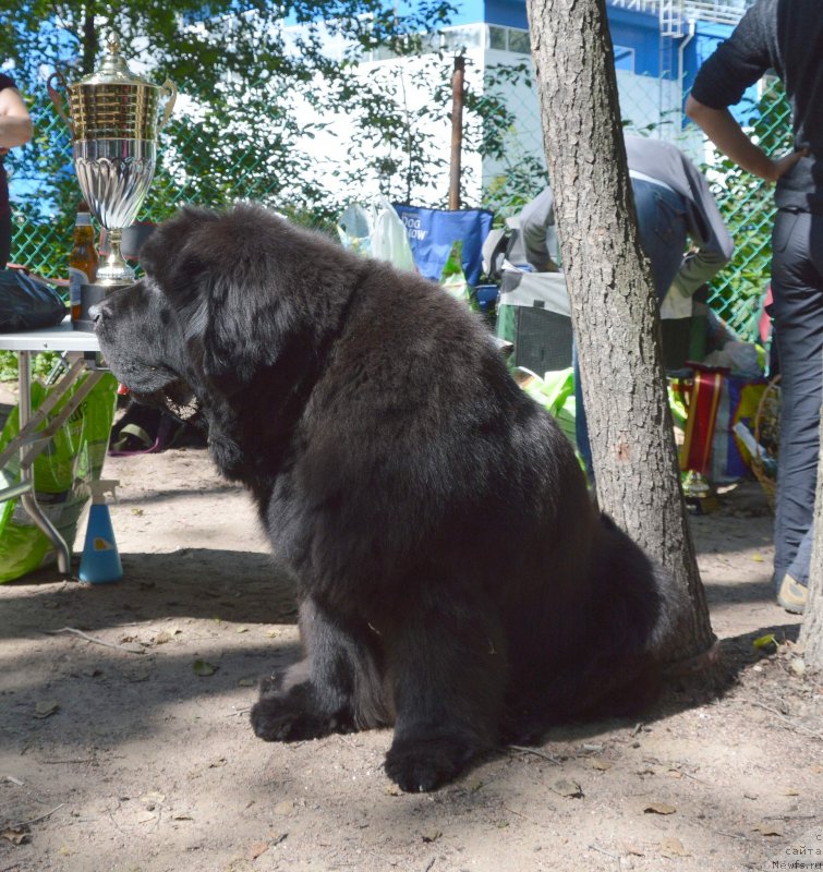 Фотография № 131751