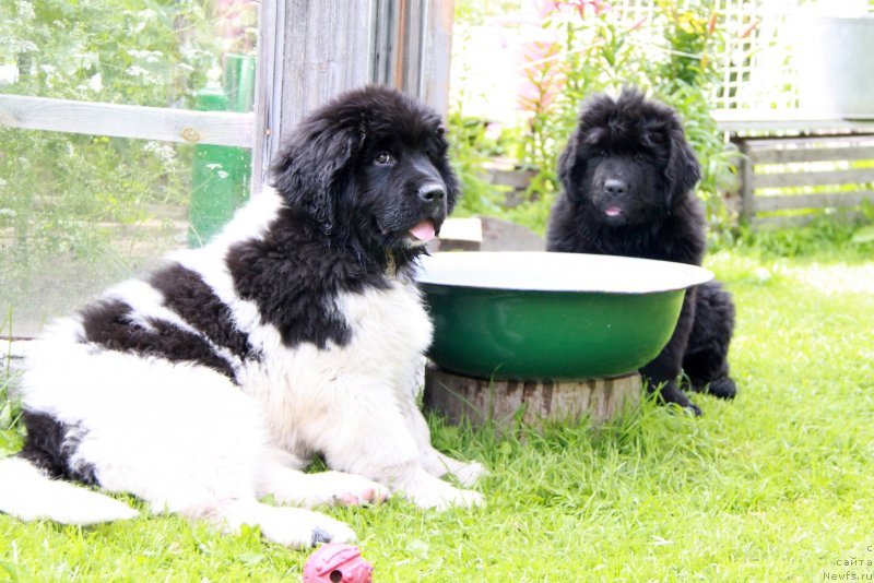 Фотография № 131755