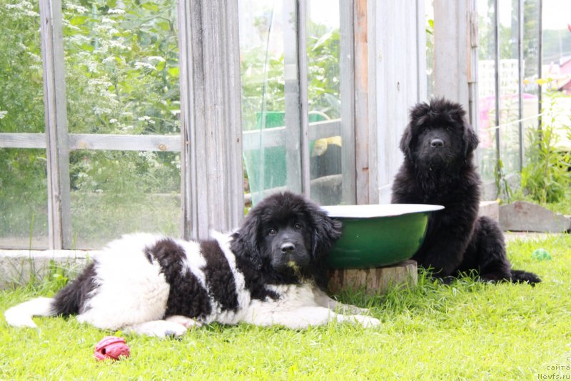 Фотография № 131756