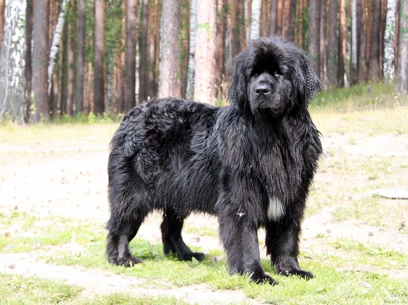 Фотография № 131774