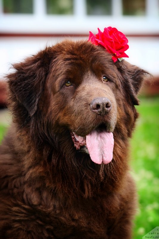 Фотография № 131791