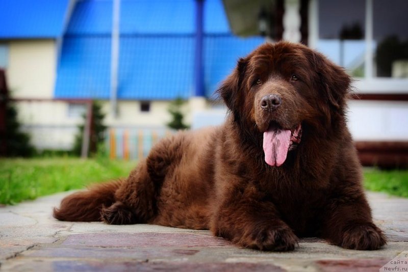 Фотография № 131792