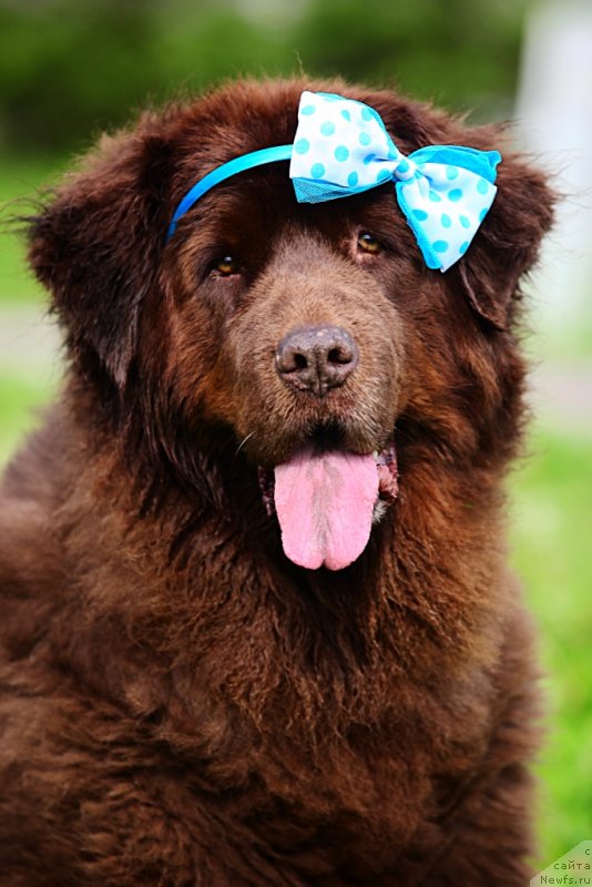 Фотография № 131793