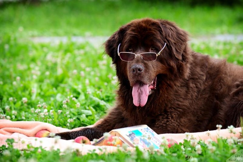 Фотография № 131795