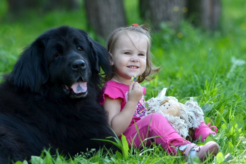 Фотография № 131823