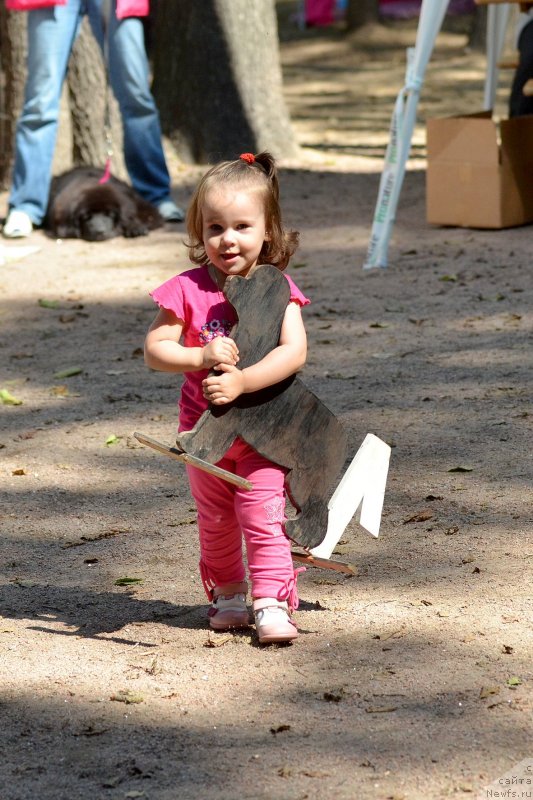 Фотография № 131826