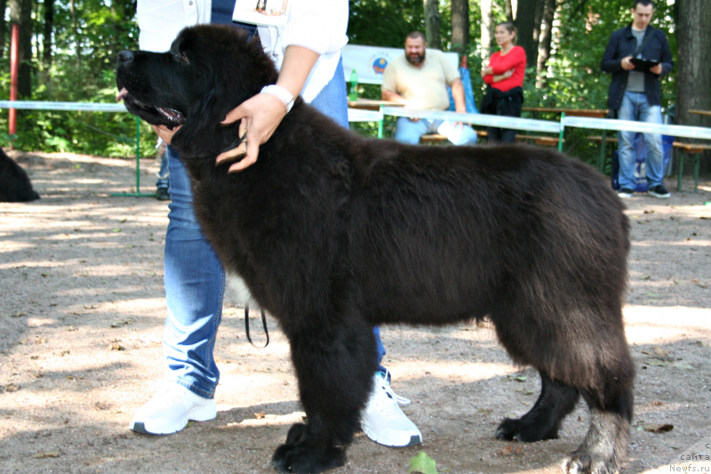 Фотография № 131866