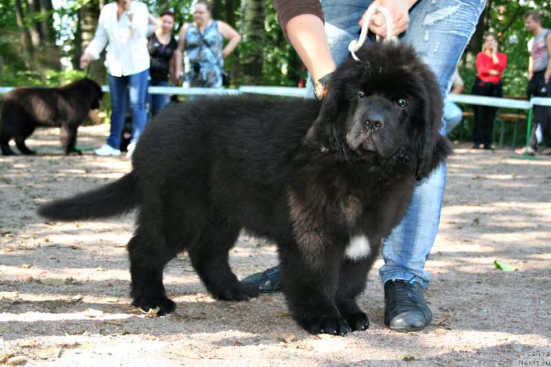 Фотография № 131867