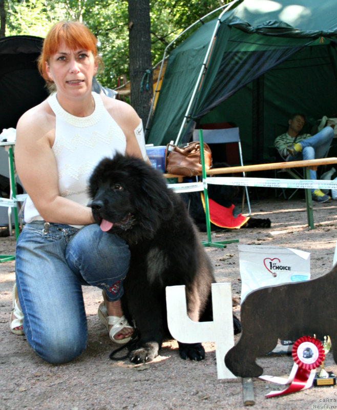 Фотография № 131869