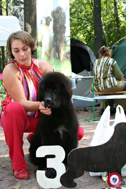 Фотография № 131870