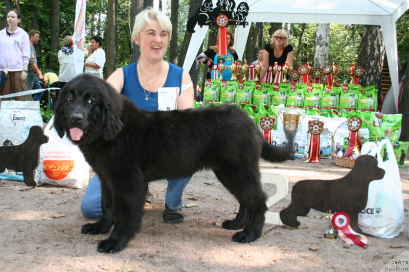 Фотография № 131871