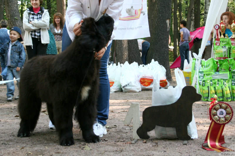 Фотография № 131873