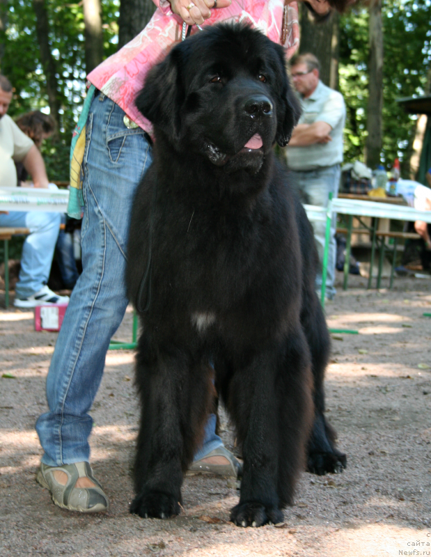 Фотография № 131887