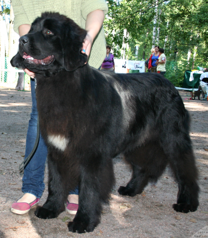 Фотография № 131889