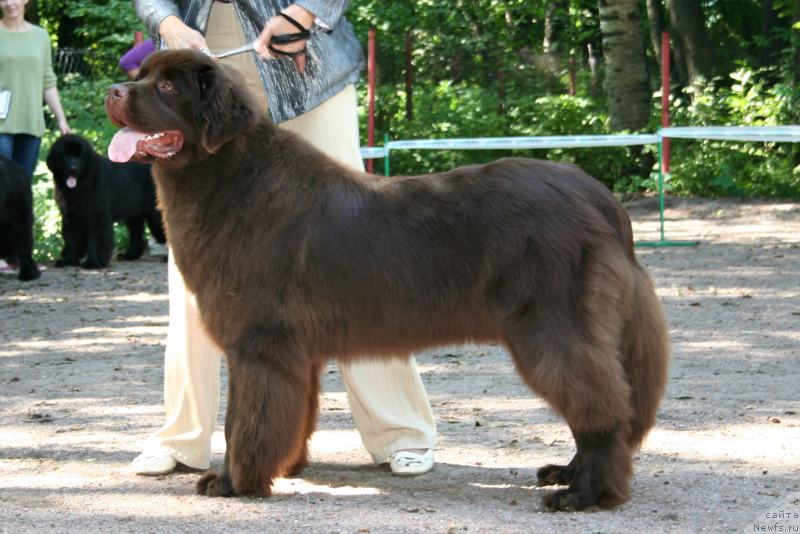 Фотография № 131891