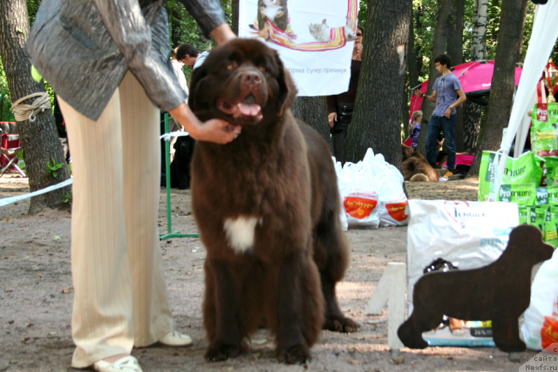 Фотография № 131892