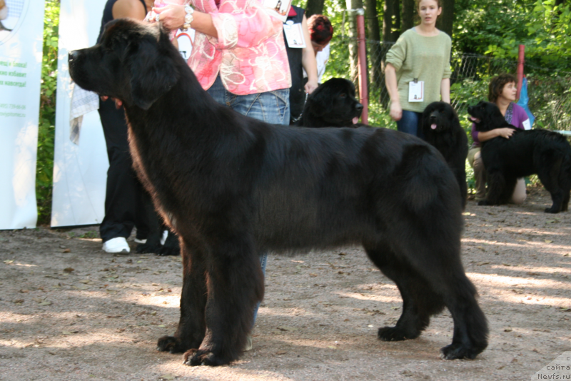 Фотография № 131894