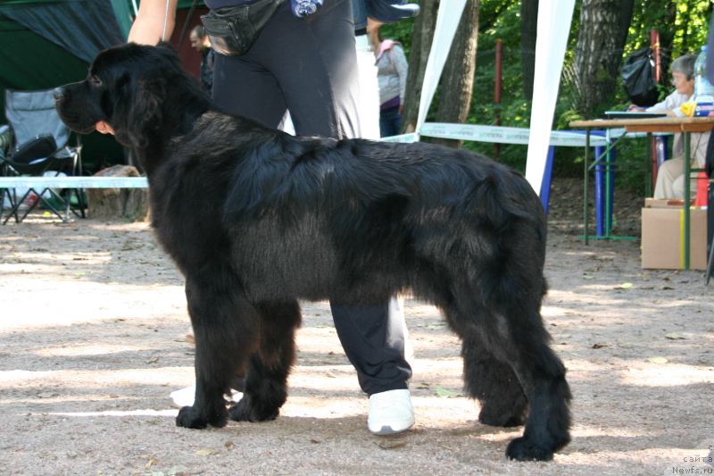 Фотография № 131896