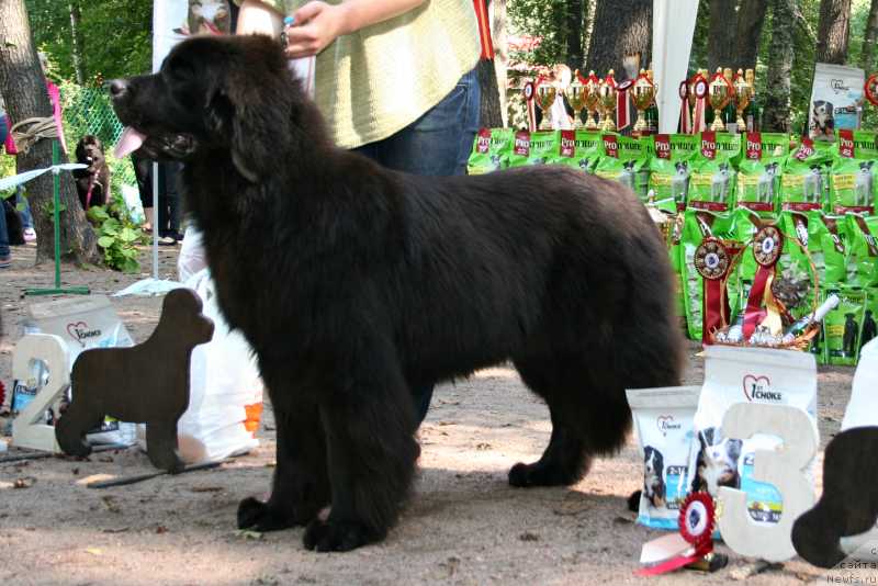 Фотография № 131903