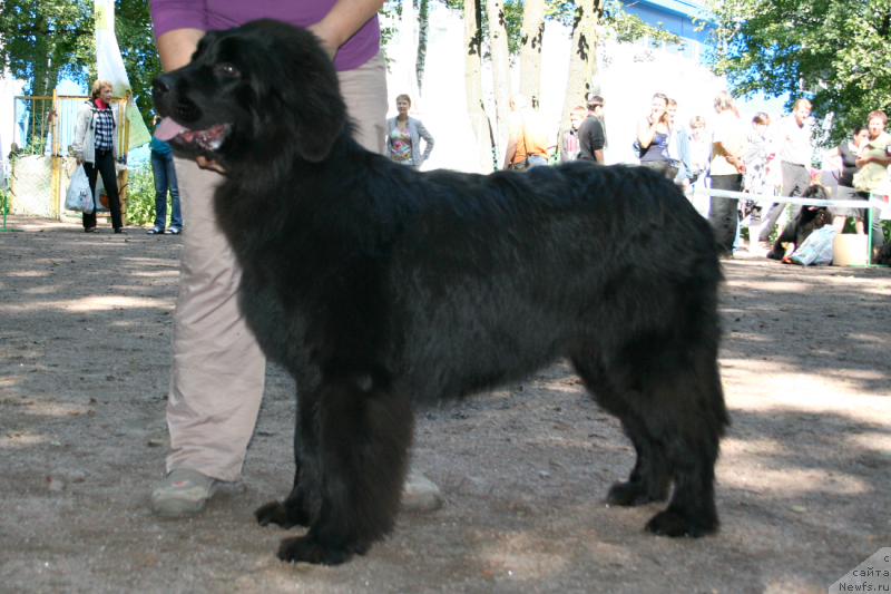 Фотография № 131904