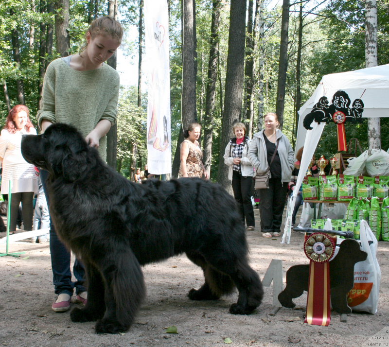 Фотография № 131905