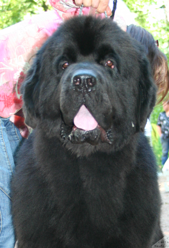 Фотография № 131906