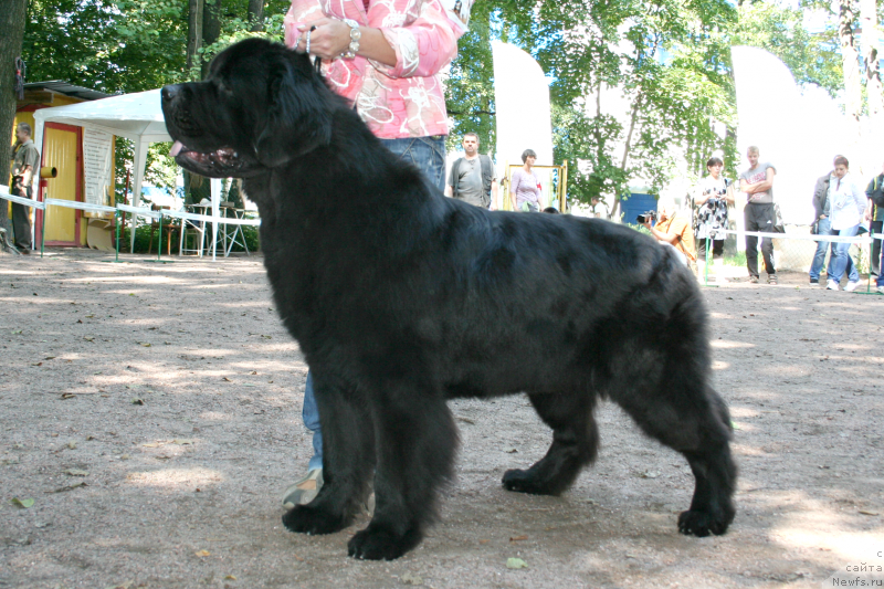 Фотография № 131907