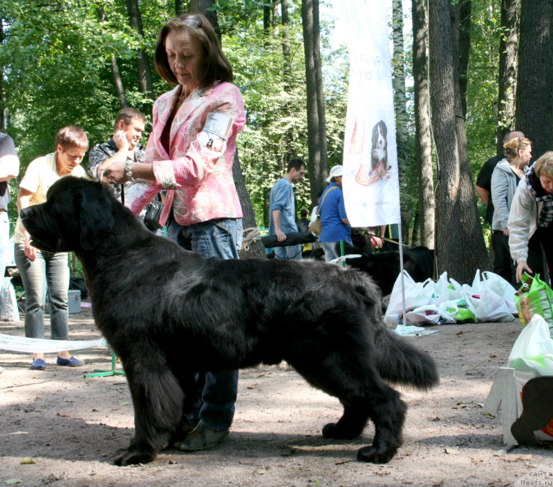 Фотография № 131909