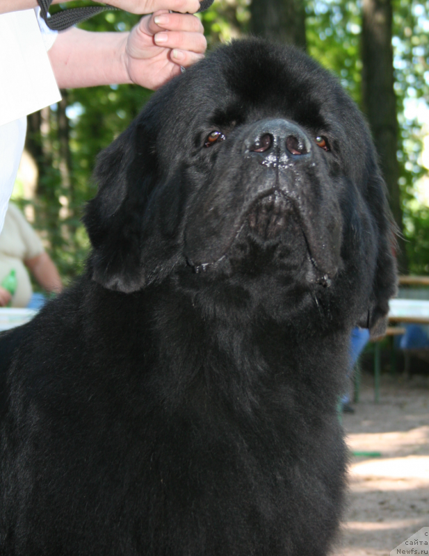 Фотография № 131916