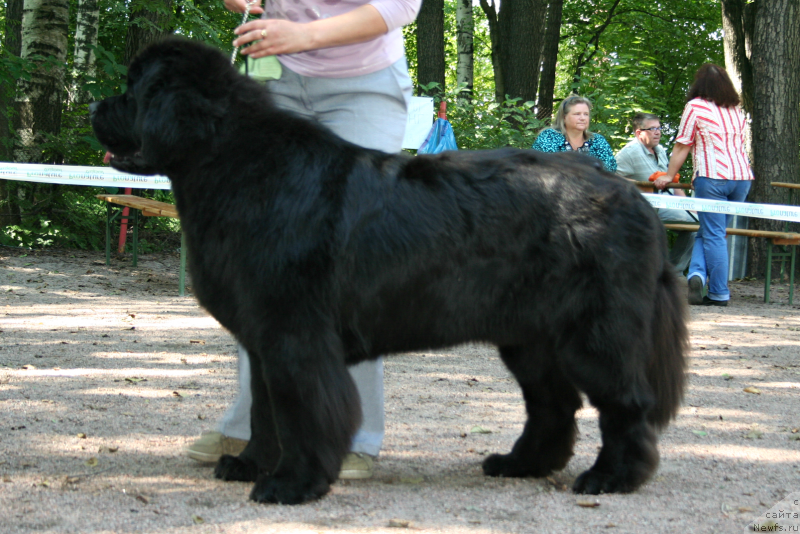 Фотография № 131918