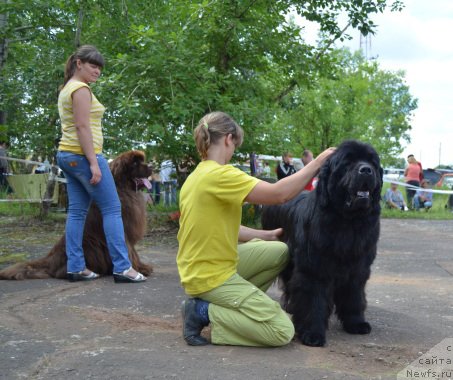 Фотография № 131923