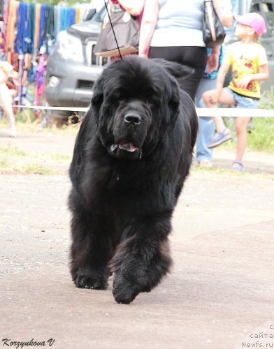 Фотография № 131924