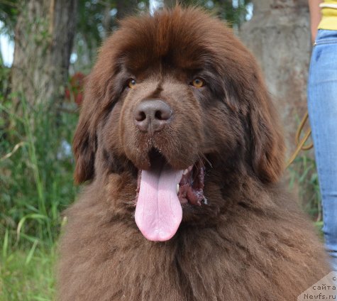 Фотография № 131928