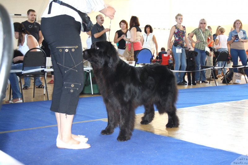 Фотография № 131929