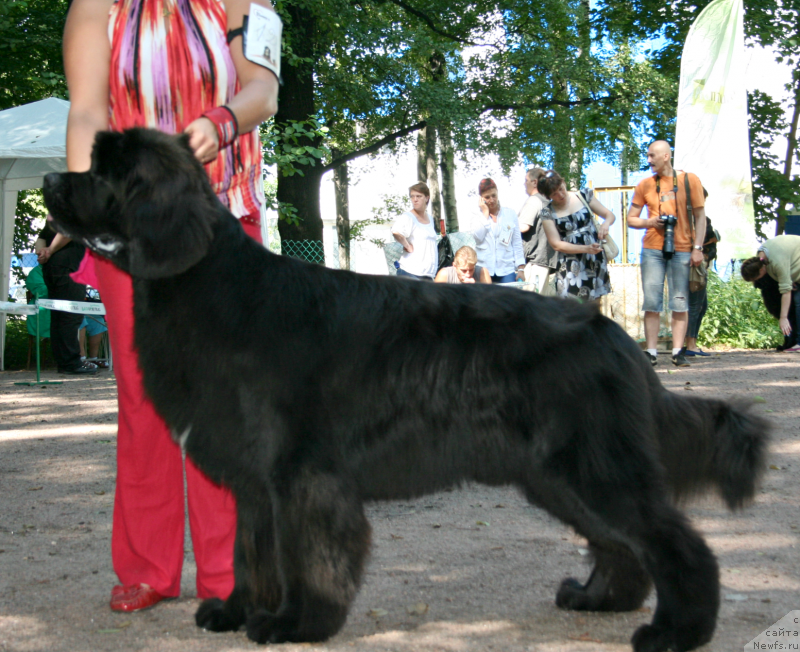 Фотография № 131932