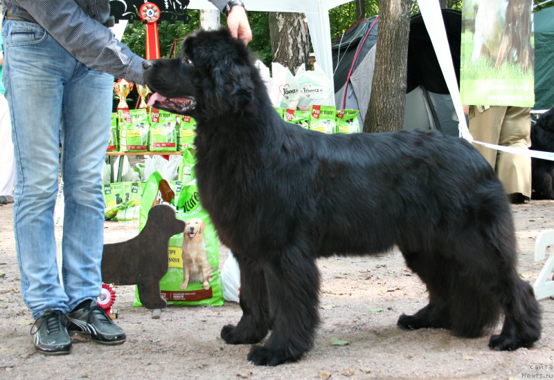 Фотография № 131936