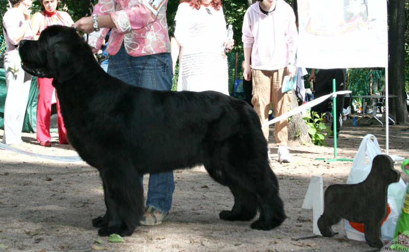 Фотография № 131938