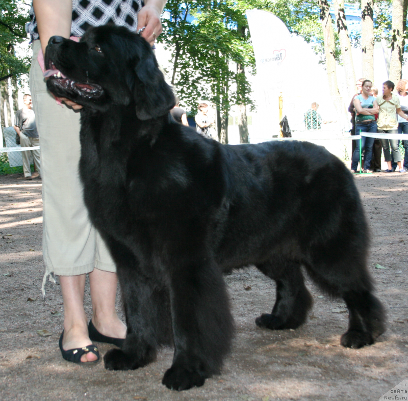 Фотография № 131939