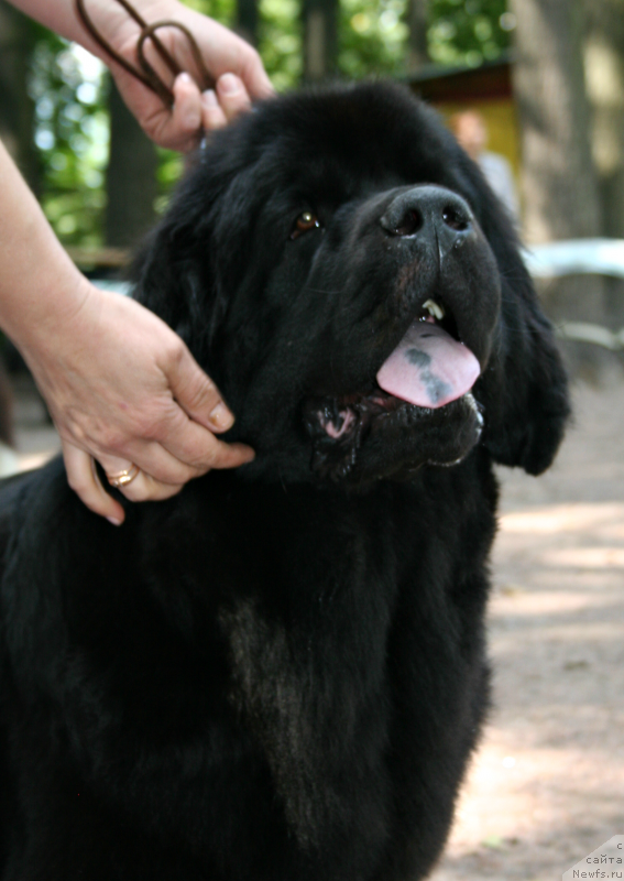 Фотография № 131940