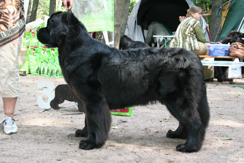 Фотография № 131944