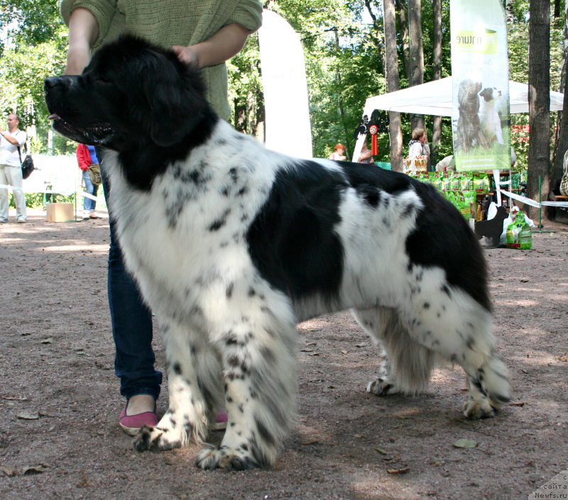 Фотография № 131945