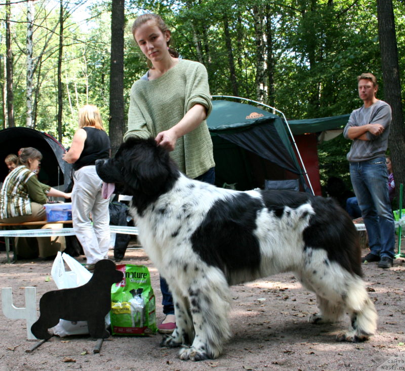 Фотография № 131946