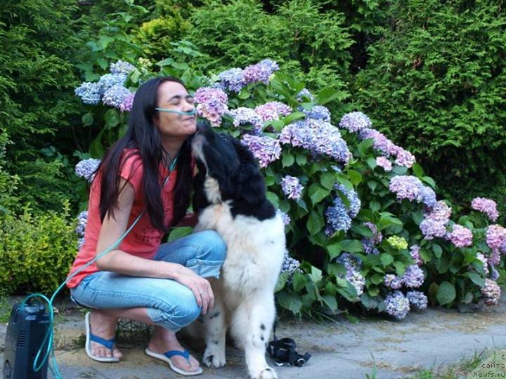 Фотография № 131948