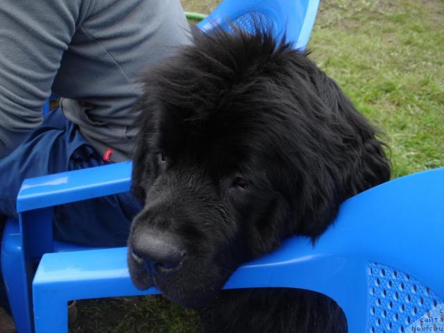 Фотография № 13195