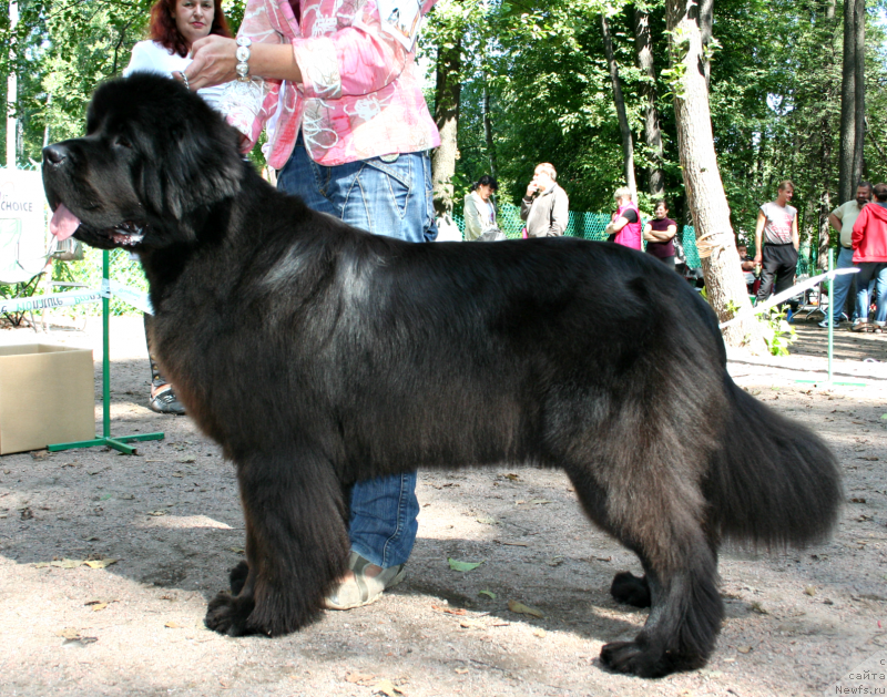 Фотография № 131953