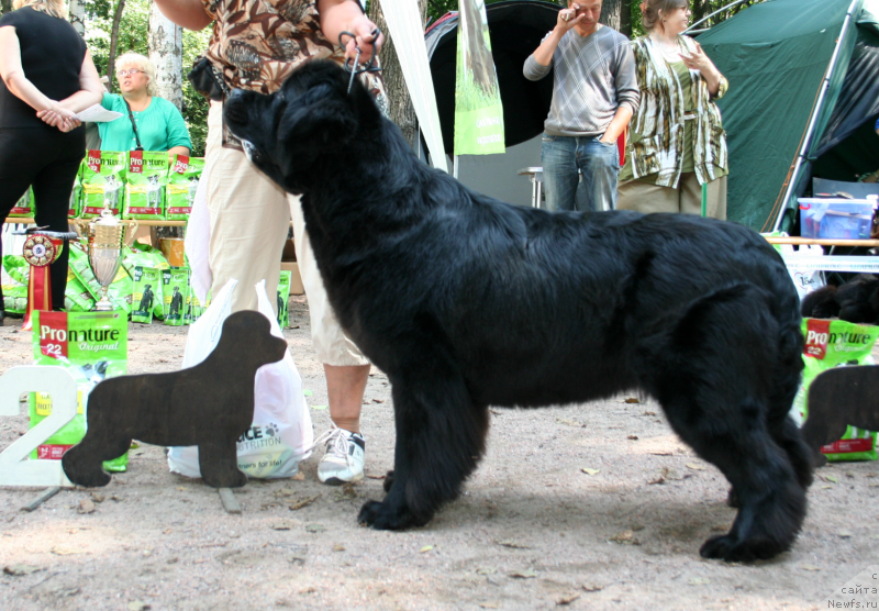 Фотография № 131956