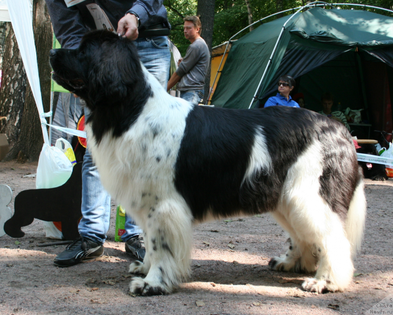 Фотография № 131961