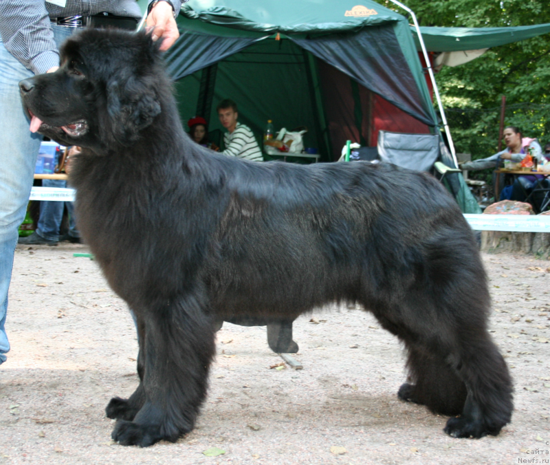 Фотография № 131962