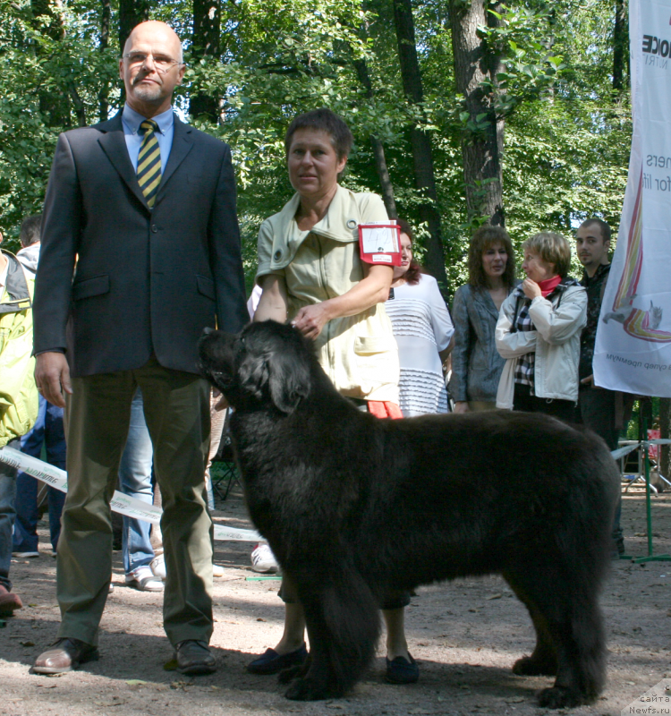 Фотография № 131964